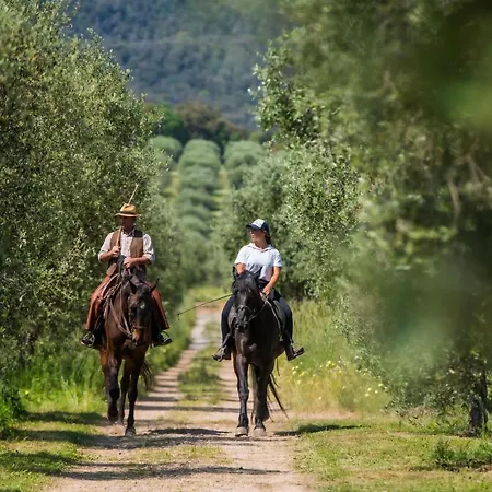 Tenuta Agricola Dell'Uccellina Magliano in Toscana Exterior photo