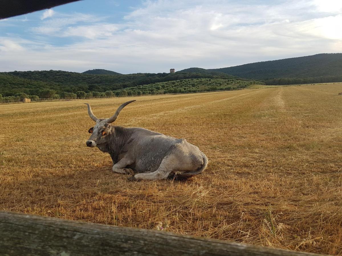 Agroturismo Tenuta Agricola Dell'uccellina Talamone
