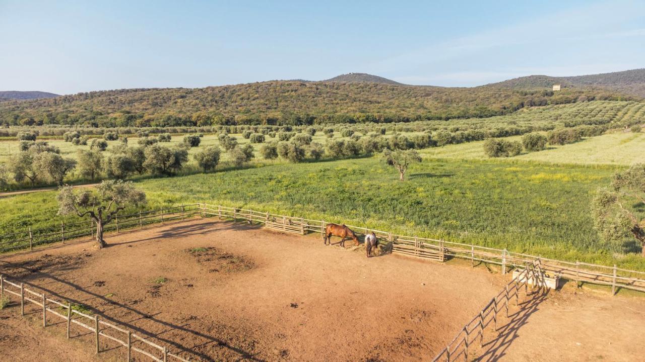 Tenuta Agricola Dell'uccellina
