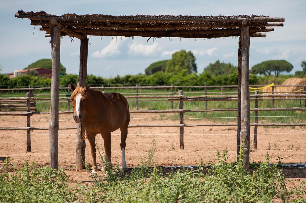 Tenuta Agricola Dell'uccellina Talamone