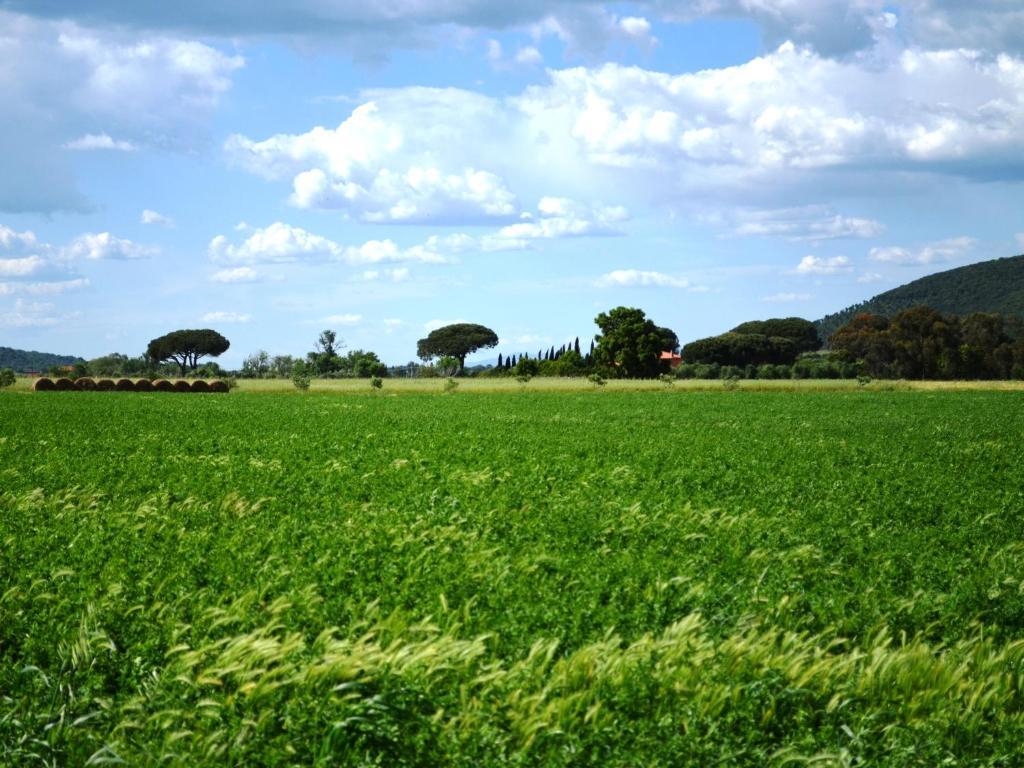 Tenuta Agricola Dell'uccellina Vakantieboerderij Talamone