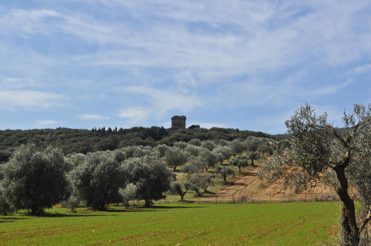 Tenuta Agricola Dell'uccellina Agroturismo
